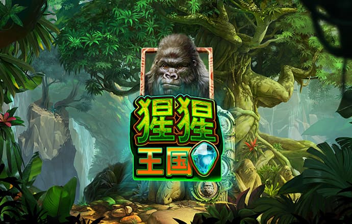 bob博鱼官网登录
